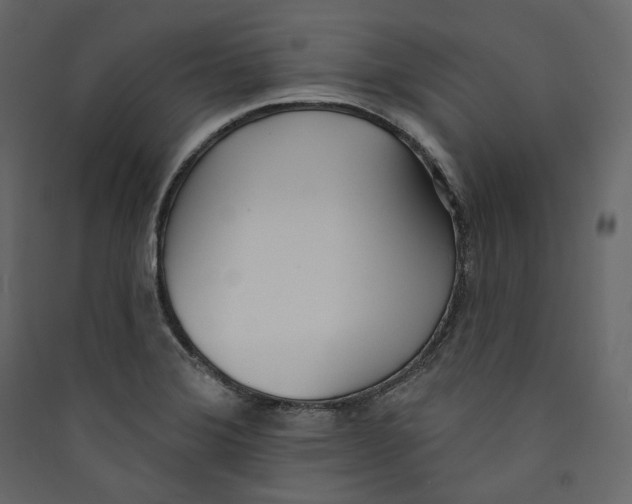 X0000089421372200707131813