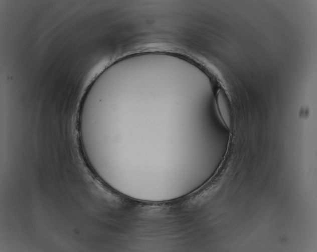 X0000089421373200707131813