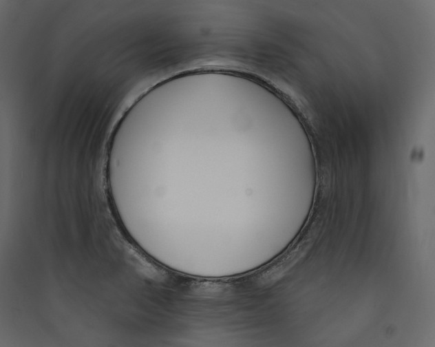 X0000089421374200707131813