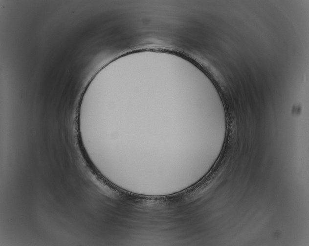 X0000089421375200707131813
