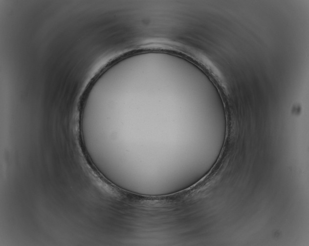X0000089421376200707131813