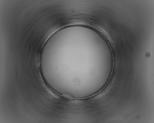 X0000089421377200707131813