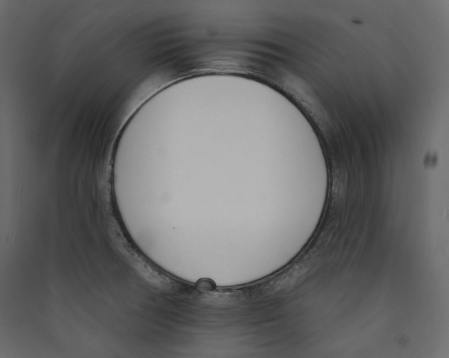 X0000089421378200707131813