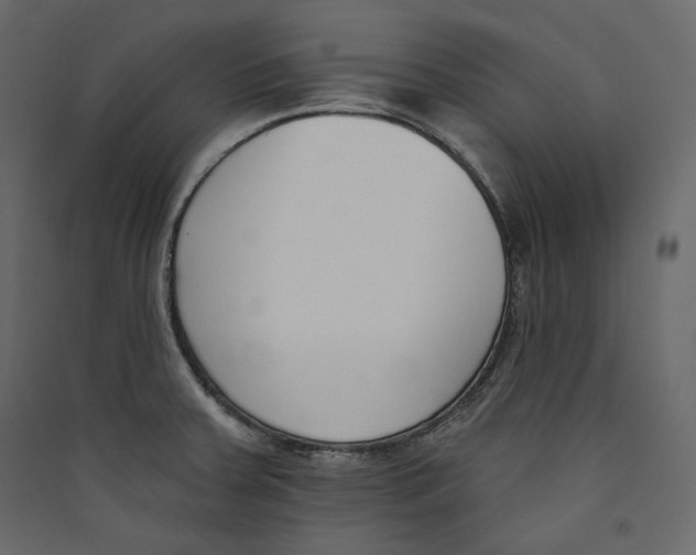 X0000089421379200707131813