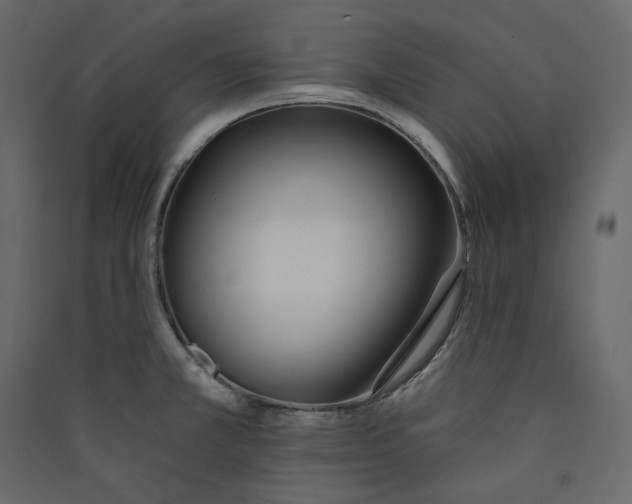 X0000089421381200707131813