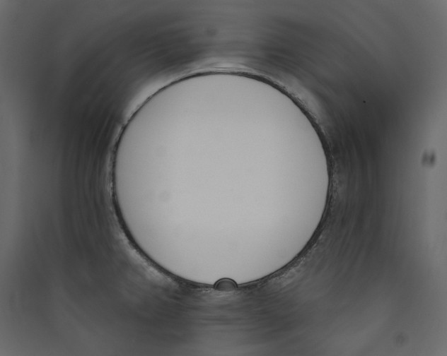 X0000089421382200707131813
