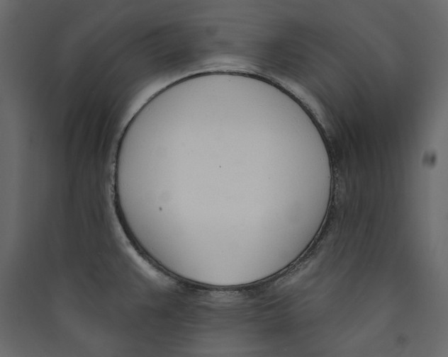 X0000089421383200707131813