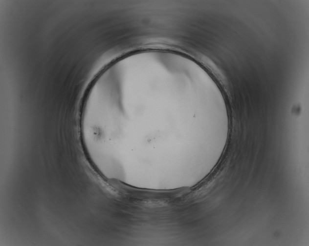 X0000089421384200707131813