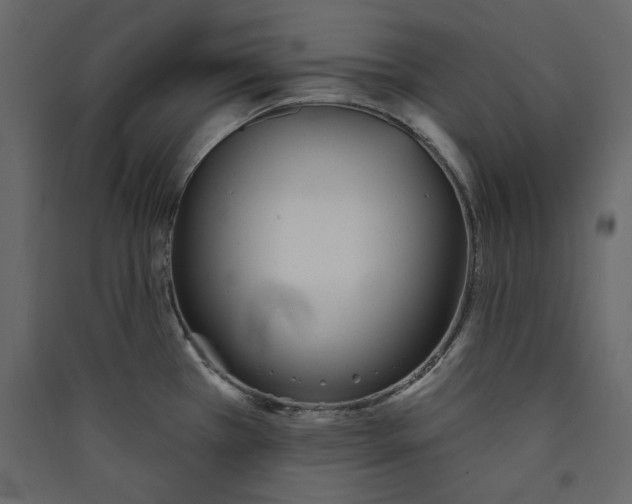 X0000089421385200707131813