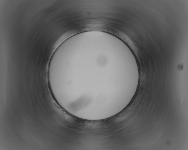 X0000089421386200707131813