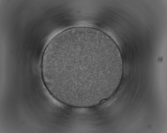 X0000089421387200707131813