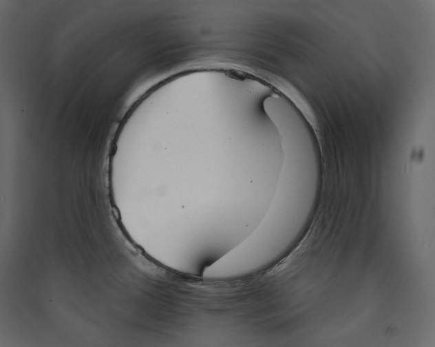 X0000089421388200707131813