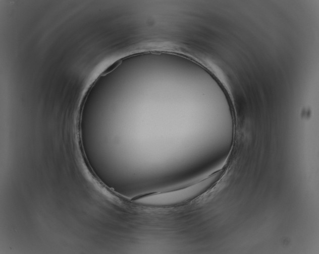 X0000089421389200707131813