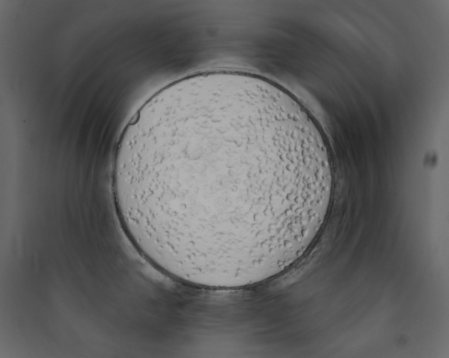 X0000089421390200707131813
