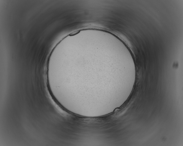 X0000089421391200707131813