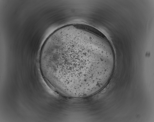 X0000089421392200707131813
