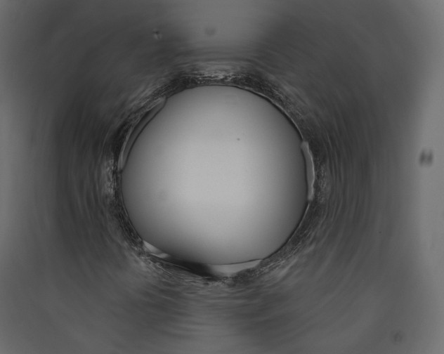 X0000089421394200707131812