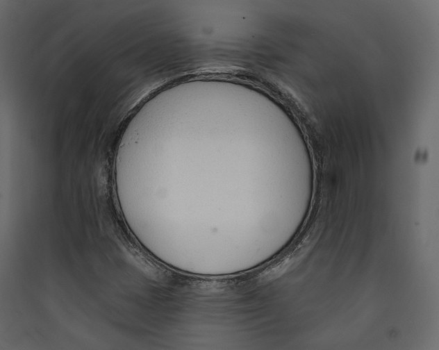 X0000089421401200707131812