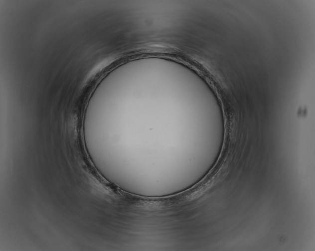 X0000089421402200707131812