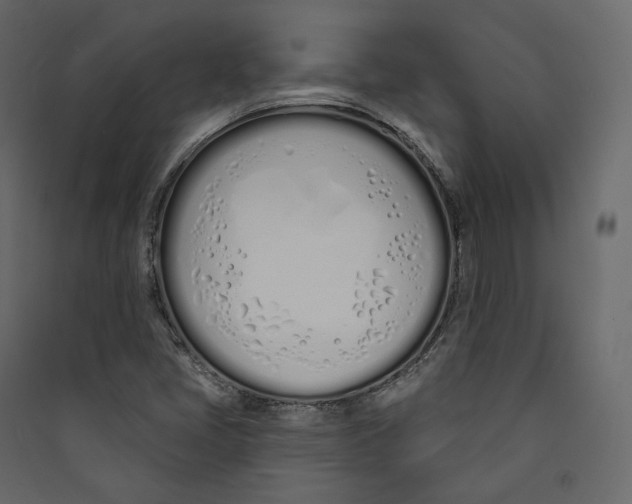 X0000089421405200707131812