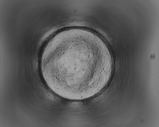 X0000089421406200707131812
