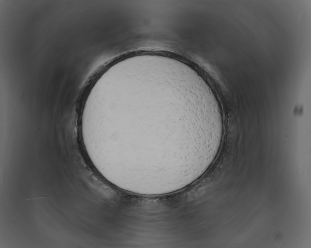 X0000089421408200707131812