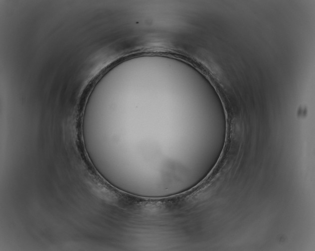 X0000089421410200707131812