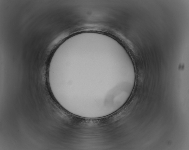 X0000089421411200707131812