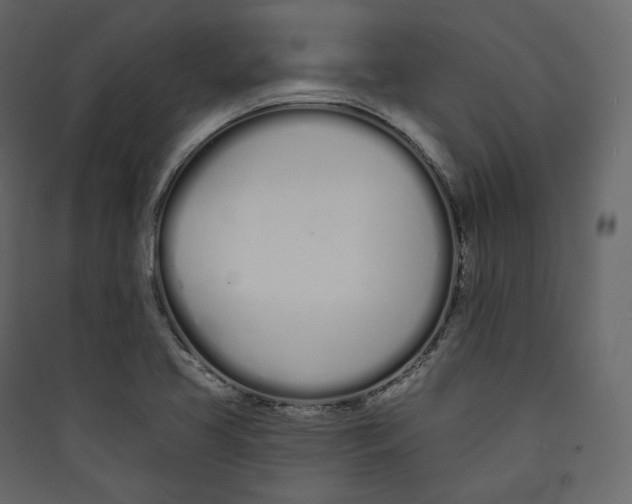 X0000089421413200707131812