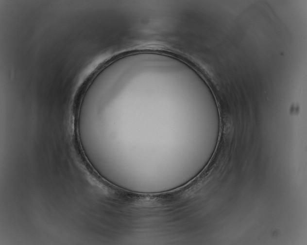 X0000089421414200707131812