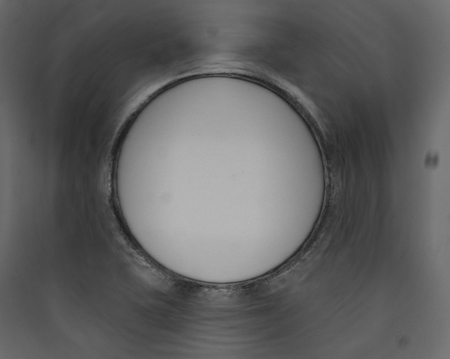 X0000089421415200707131812