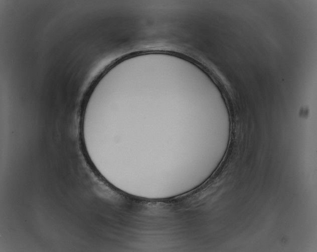 X0000089421416200707131813