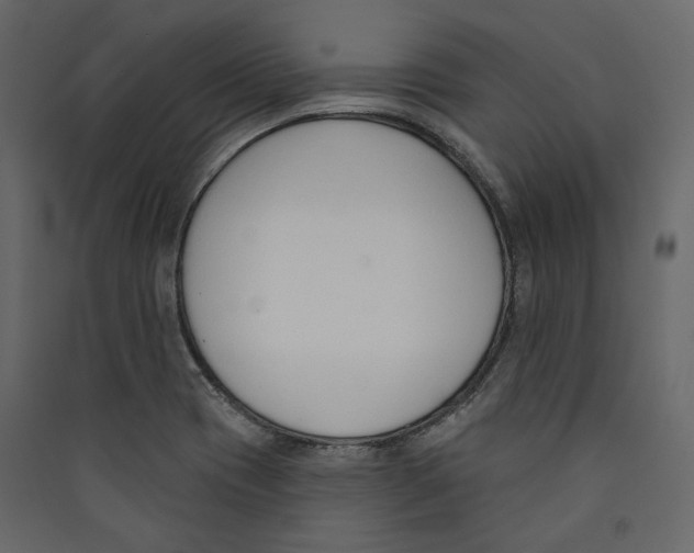 X0000089421417200707131813