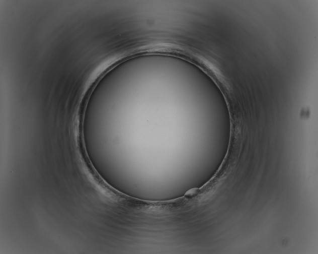 X0000089421418200707131813