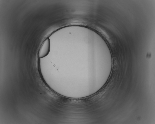 X0000089421419200707131813