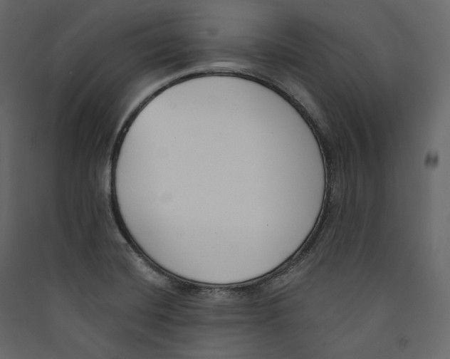 X0000089421420200707131813