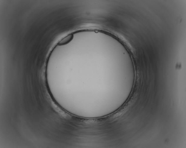 X0000089421421200707131813