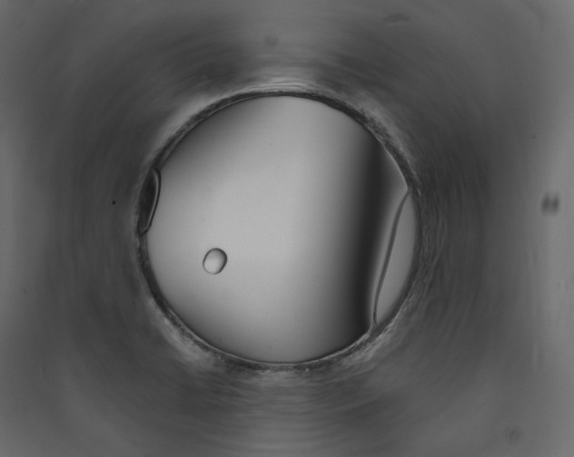 X0000089421422200707131813