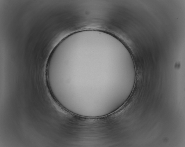 X0000089421423200707131813