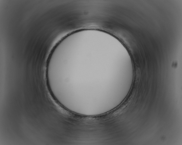 X0000089421424200707131813