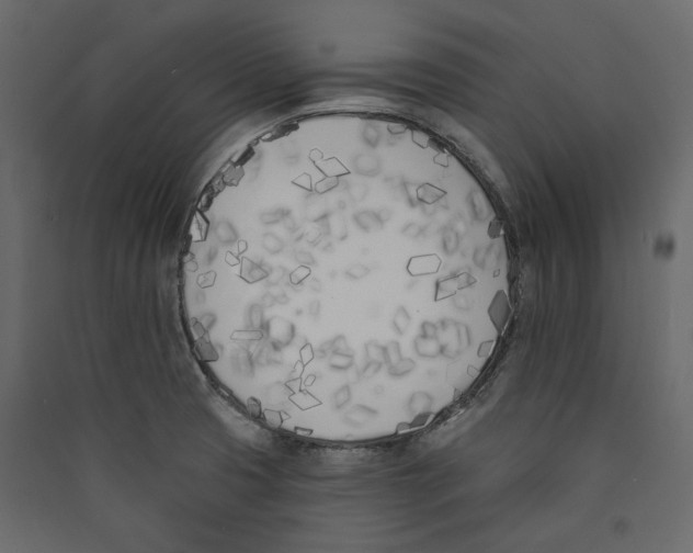 X0000089421425200707131813
