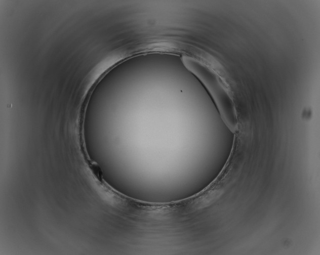 X0000089421426200707131813