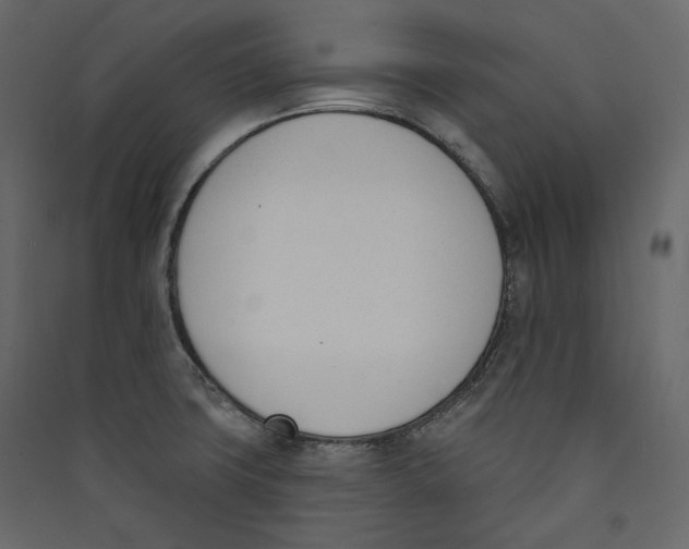 X0000089421427200707131813