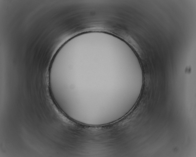X0000089421428200707131813