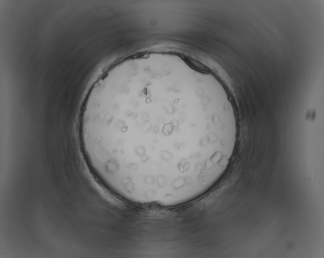 X0000089421429200707131813