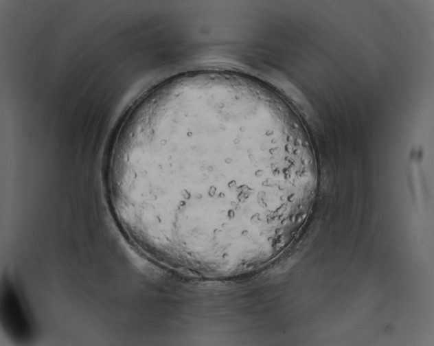 X0000089421430200707131813