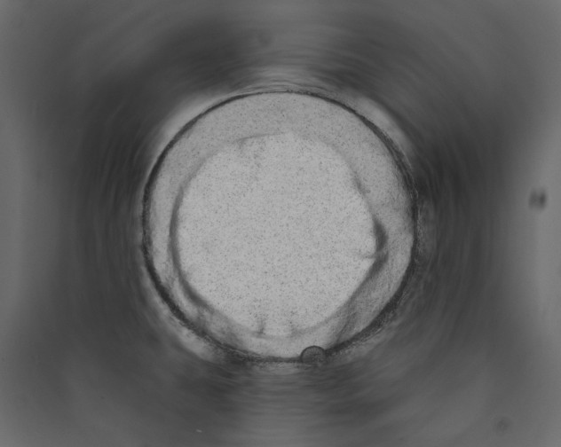 X0000089421431200707131813