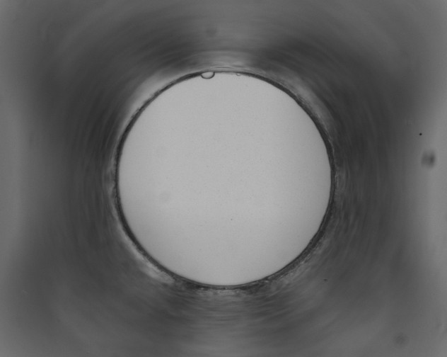 X0000089421432200707131813