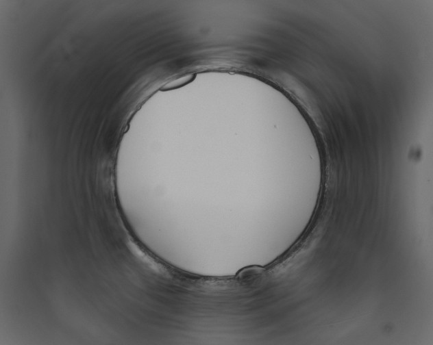 X0000089421433200707131813