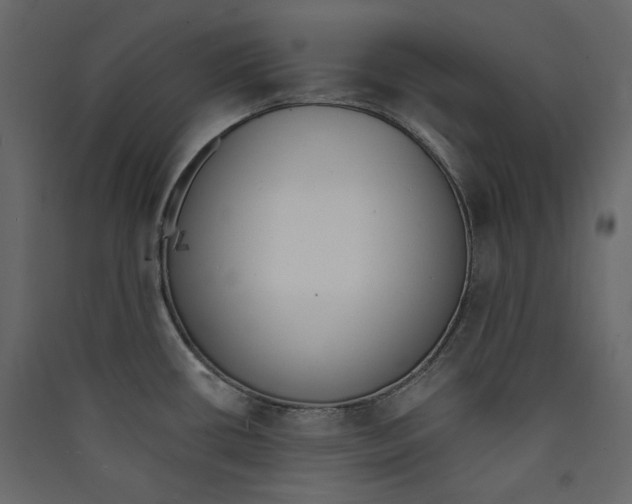 X0000089421434200707131813